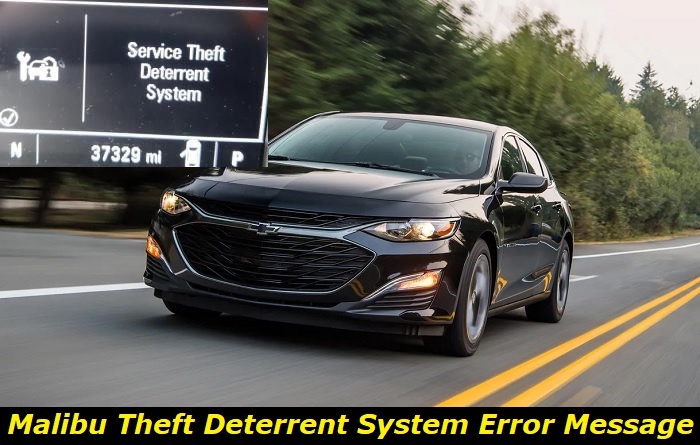 malibu theft deterrent system service